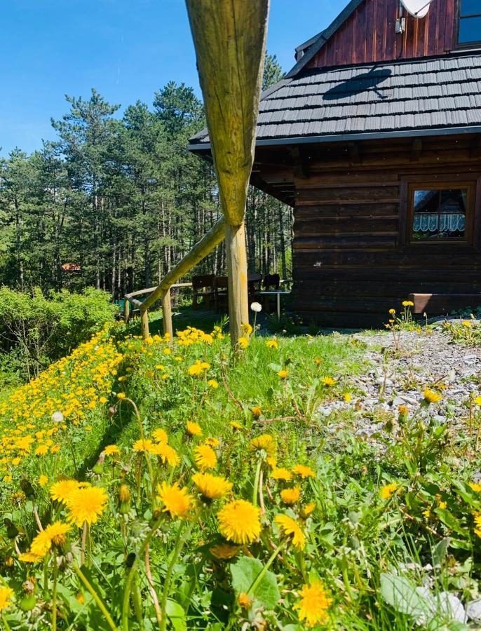Drevenica Uhorcik Villa Terhely Kültér fotó